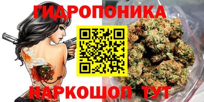 ешки Усть-Илимск