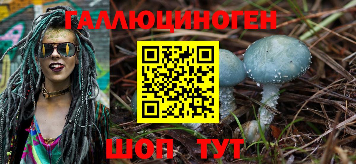 Псилоцибиновые грибы Psilocybe  Вход с VPN  даркнет сайт  Псилоцибиновые грибы GOLDEN TEACHER  Минусинск 