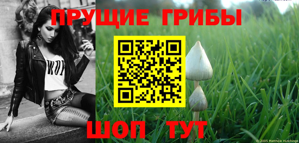 Галлюциногенные грибы ЛСД Минусинск